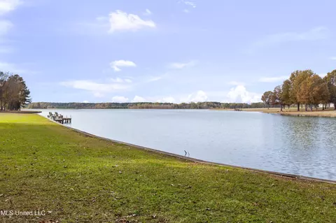 View/Area - 101 Lake Shore Cv, Madison, MS 39110 photo 2 of 11