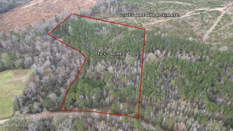 57 Mose Hilliard Rd, Sontag, MS 39665