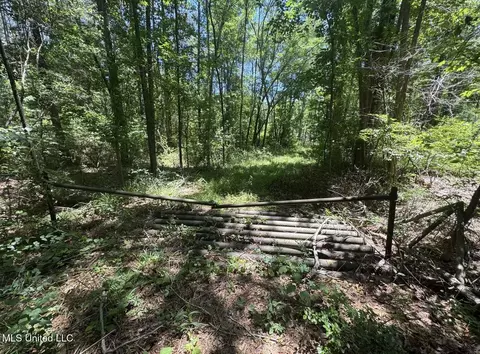Zion Hill Church Road, Silver Creek, MS 39663
