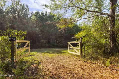 Katie Bush Road, Pinola, MS 39149