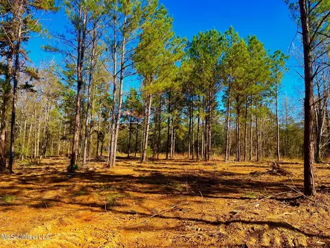 4001 Stegall Rd, Wesson, MS 39191 photo 2