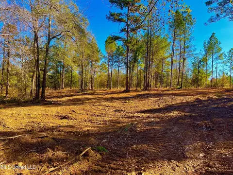 4001 Stegall Rd, Wesson, MS 39191 photo 3