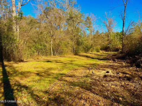 4001 Stegall Rd, Wesson, MS 39191 photo 12