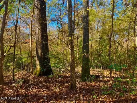 4001 Stegall Rd, Wesson, MS 39191 photo 8