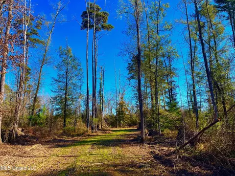 4001 Stegall Rd, Wesson, MS 39191 photo 18