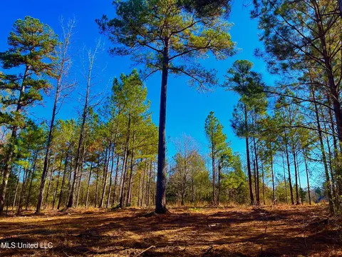 4001 Stegall Rd, Wesson, MS 39191