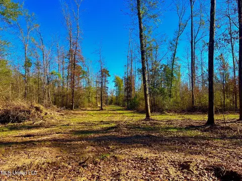 4001 Stegall Rd, Wesson, MS 39191 photo 16