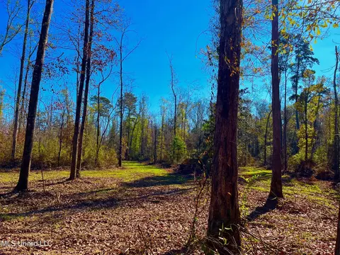 4001 Stegall Rd, Wesson, MS 39191 photo 13