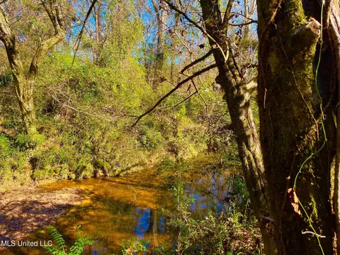 4001 Stegall Rd, Wesson, MS 39191 photo 10