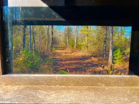 4001 Stegall Rd, Wesson, MS 39191 photo 22