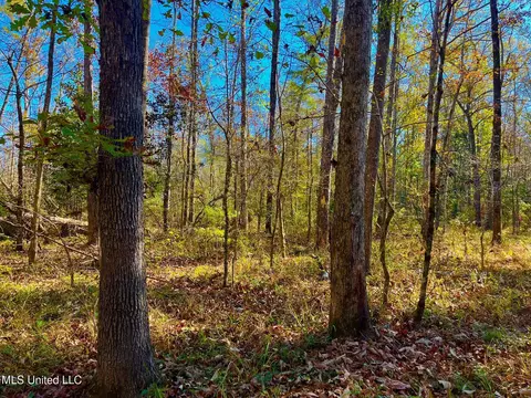4001 Stegall Rd, Wesson, MS 39191 photo 6