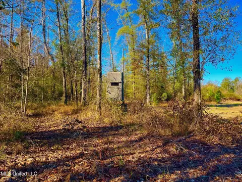 4001 Stegall Rd, Wesson, MS 39191 photo 25