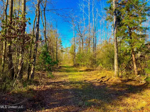 4001 Stegall Rd, Wesson, MS 39191 photo 21