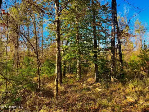 4001 Stegall Rd, Wesson, MS 39191 photo 4
