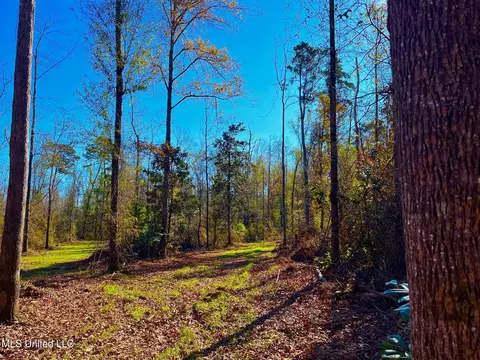 4001 Stegall Rd, Wesson, MS 39191 photo 14