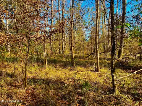 4001 Stegall Rd, Wesson, MS 39191 photo 5