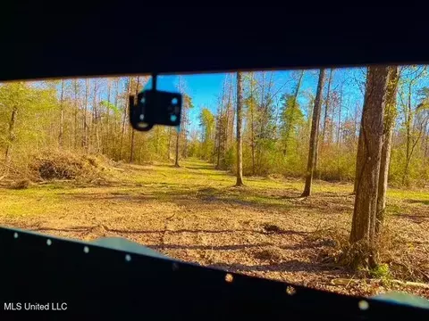 4001 Stegall Rd, Wesson, MS 39191 photo 7