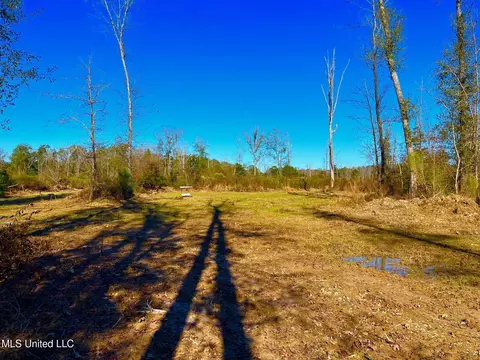 4001 Stegall Rd, Wesson, MS 39191 photo 26