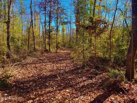4001 Stegall Rd, Wesson, MS 39191 photo 27