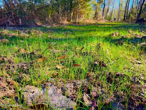 4001 Stegall Rd, Wesson, MS 39191 photo 19