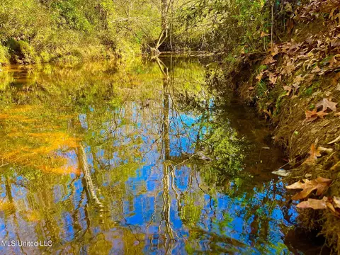 4001 Stegall Rd, Wesson, MS 39191 photo 9