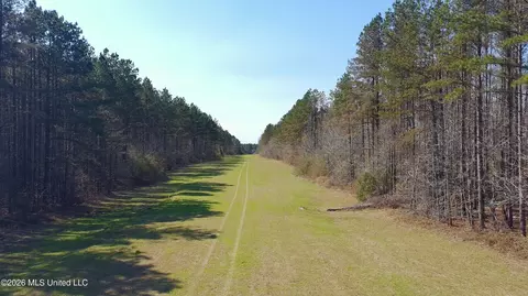Ratliff Ferry Road, Canton, MS 39046 photo 10