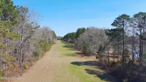 Ratliff Ferry Road, Canton, MS 39046 photo 7