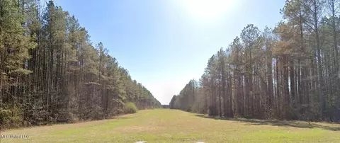 Ratliff Ferry Road, Canton, MS 39046 photo 2