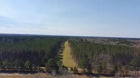Ratliff Ferry Road, Canton, MS 39046 photo 8