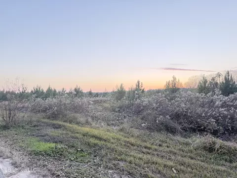 Eli Dudley Road, Moss Point, MS 39562 photo 3