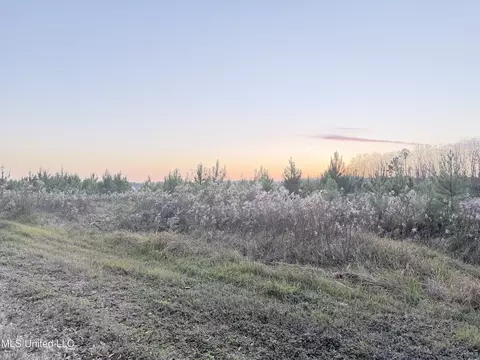 Eli Dudley Road, Moss Point, MS 39562