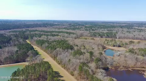 Ratliff Ferry Road, Canton, MS 39046 photo 4