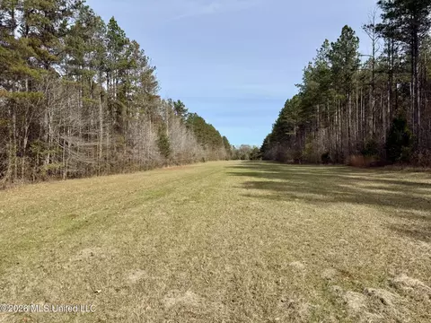 Ratliff Ferry Road, Canton, MS 39046 photo 8