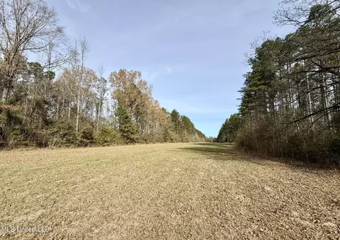 Ratliff Ferry Road, Canton, MS 39046 photo 7