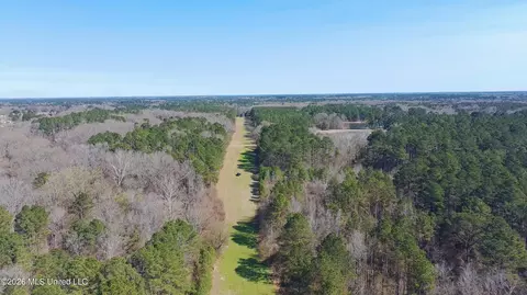 Ratliff Ferry Road, Canton, MS 39046 photo 2