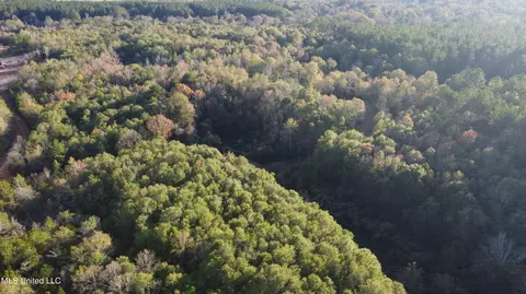 10 Mile Creek Rd, Foxworth, MS 39483
