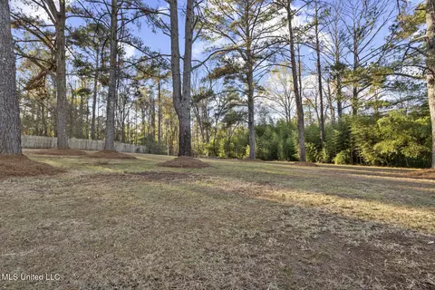 Exterior - 210 Haddon Cir, Brandon, MS 39047 photo 4 of 6