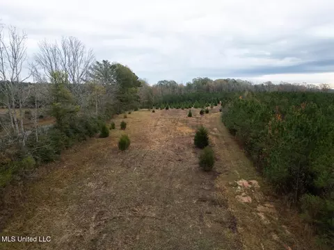 3448 Lower Centreville Rd, Liberty, MS 39645