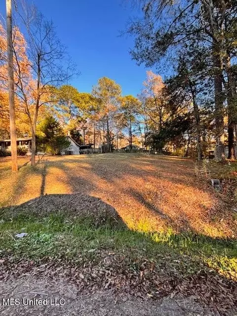 130 Hemlock Dr, Richland, MS 39218