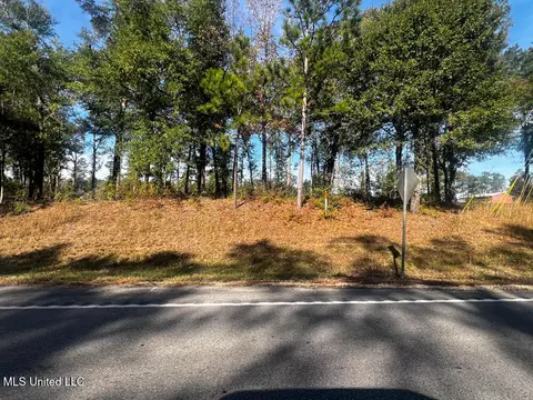 E Highway 198, Lucedale, MS 39452 photo 3