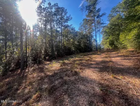 E Highway 198, Lucedale, MS 39452 photo 14