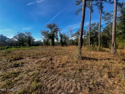 E Highway 198, Lucedale, MS 39452 photo 7