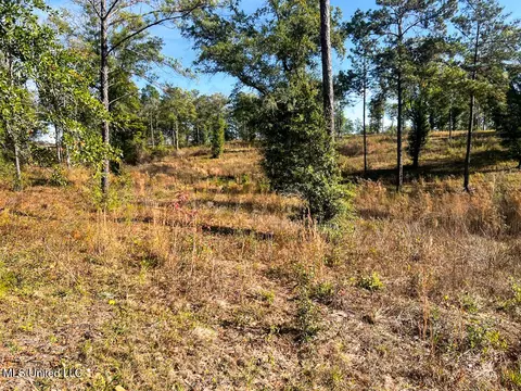 E Highway 198, Lucedale, MS 39452 photo 21