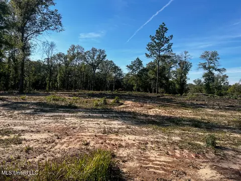 E Highway 198, Lucedale, MS 39452 photo 5