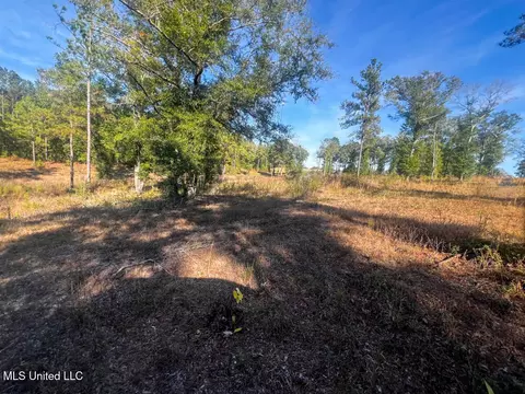 E Highway 198, Lucedale, MS 39452 photo 23