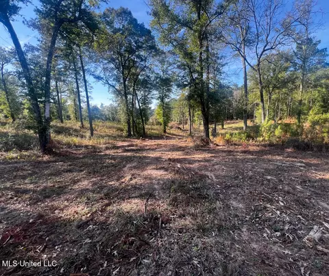 E Highway 198, Lucedale, MS 39452 photo 9