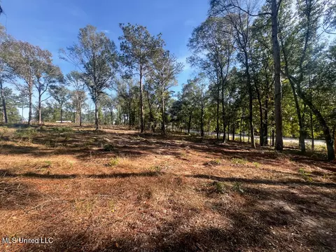 E Highway 198, Lucedale, MS 39452 photo 24