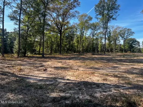 E Highway 198, Lucedale, MS 39452 photo 4