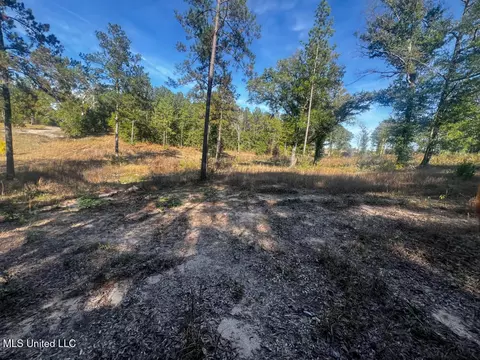 E Highway 198, Lucedale, MS 39452 photo 22