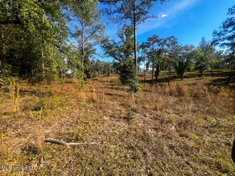 E Highway 198, Lucedale, MS 39452 photo 20